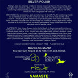 Shining Silver Polish by Beauty Simplified